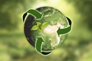 sustainability globe